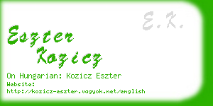 eszter kozicz business card